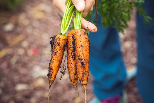 Organic fruit