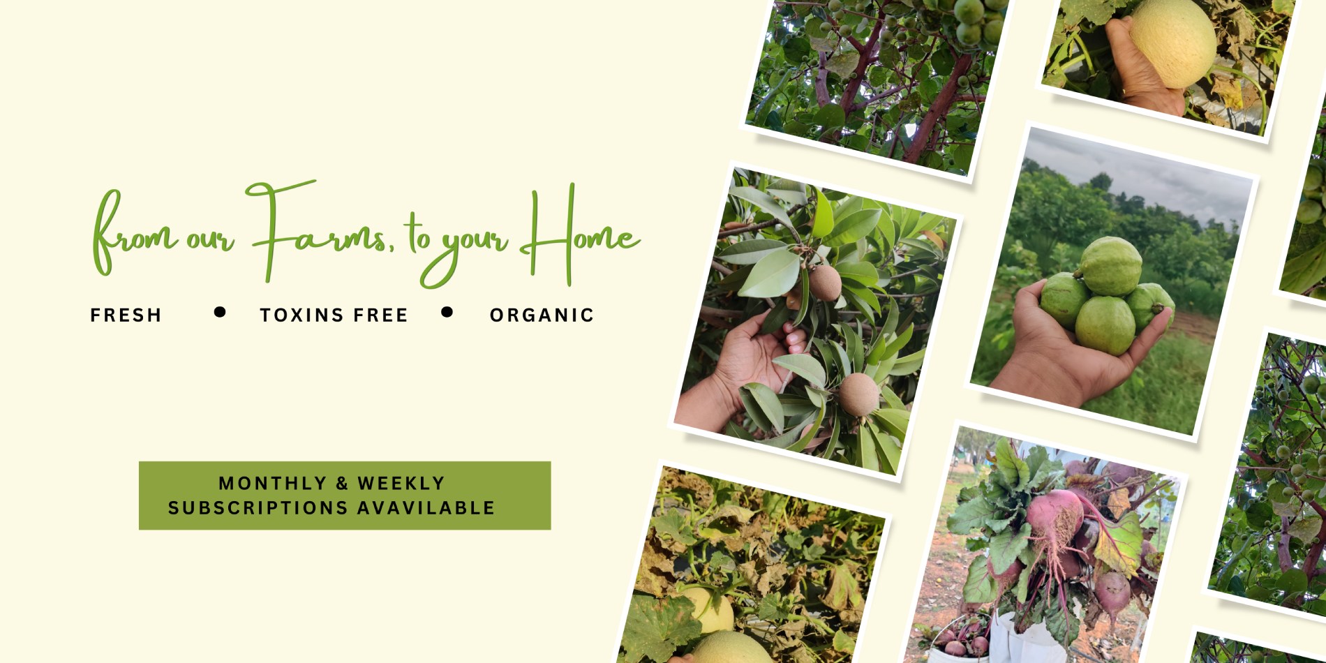 Exotic Fruits - PushtiOrganics