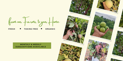 Exotic Fruits - PushtiOrganics