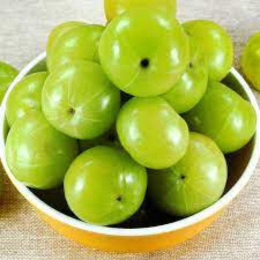 Amla - PushtiOrganics