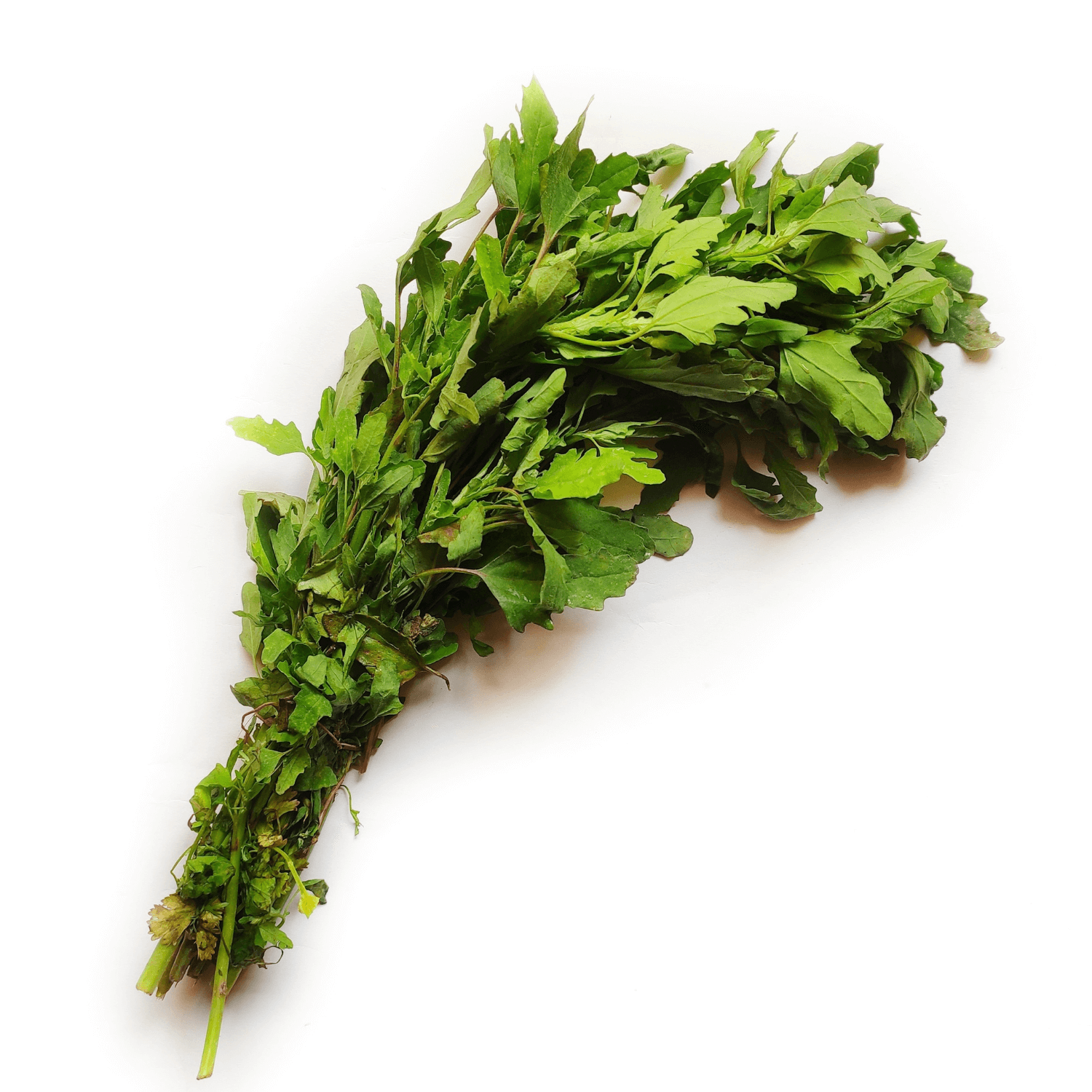 Bathua/500 Grams - PushtiOrganics Bathua/500 Grams - PushtiOrganics