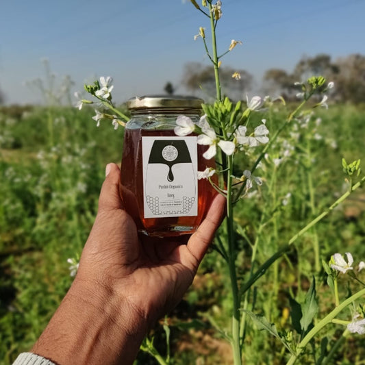 Raw Multi-Flora Unfiltered Honey - PushtiOrganics