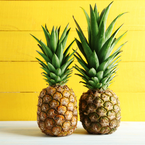 Pineapple - PushtiOrganics Pineapple - PushtiOrganics