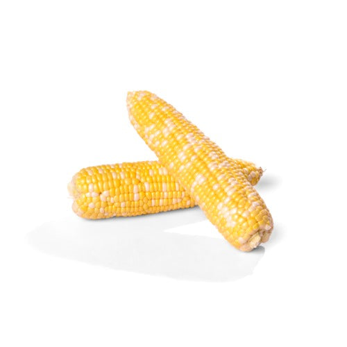 Corn/ Bhutta