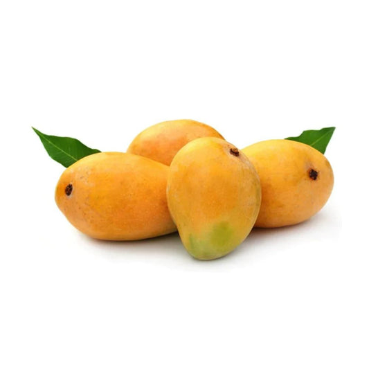Alphanso Mango