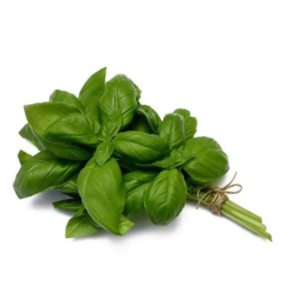 Basil - PushtiOrganics