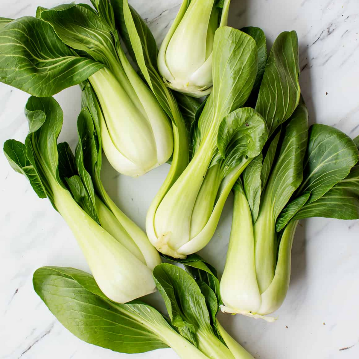Bok Choy - PushtiOrganics