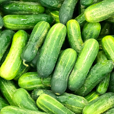 Cucumber hybrid/500 Grams