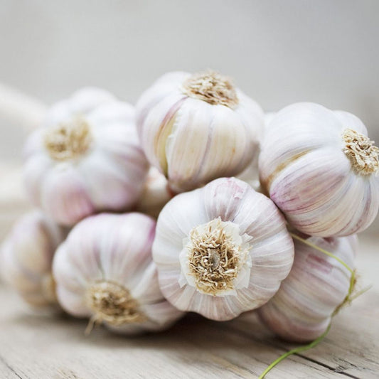 Garlic/250 Grams