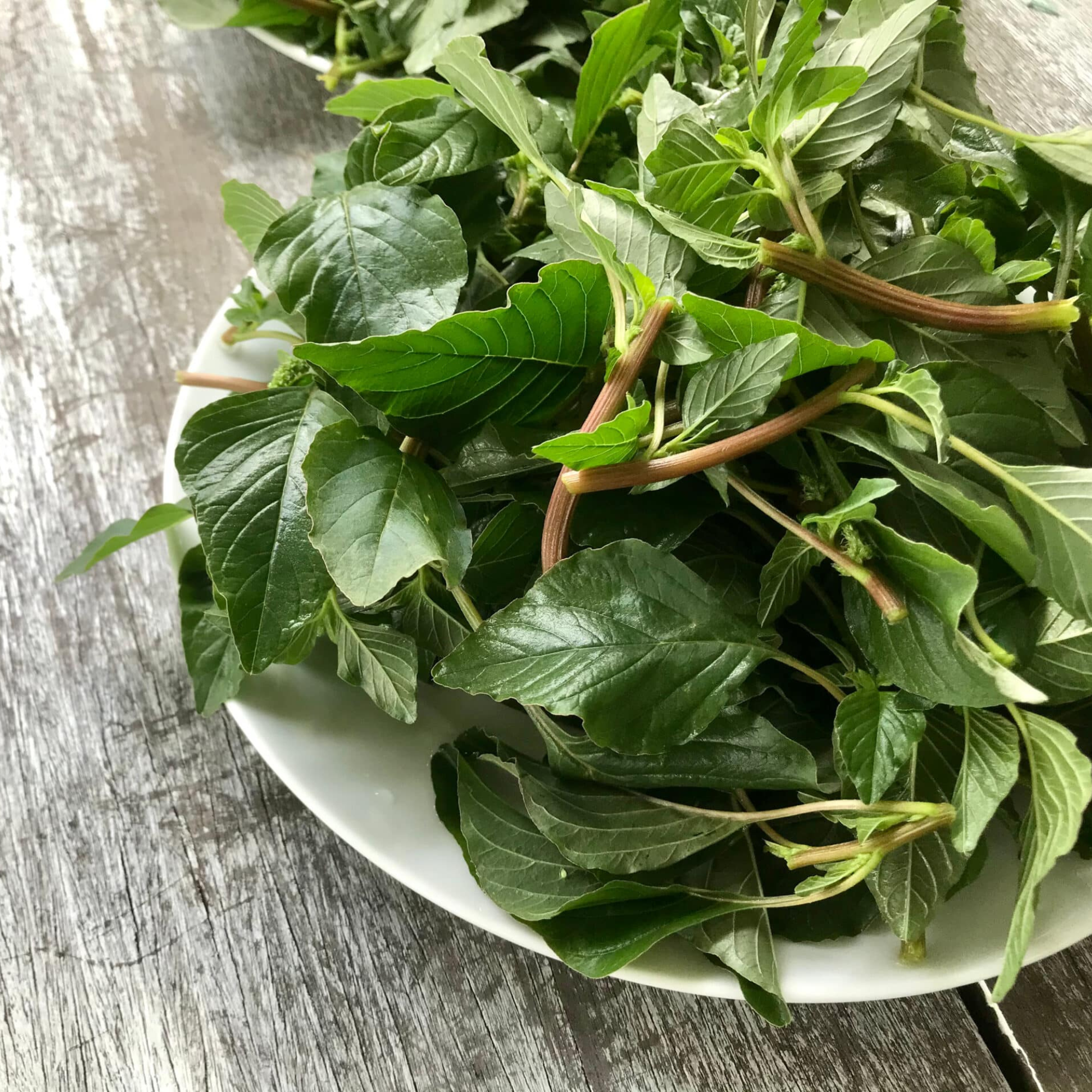 Green Saag - PushtiOrganics
