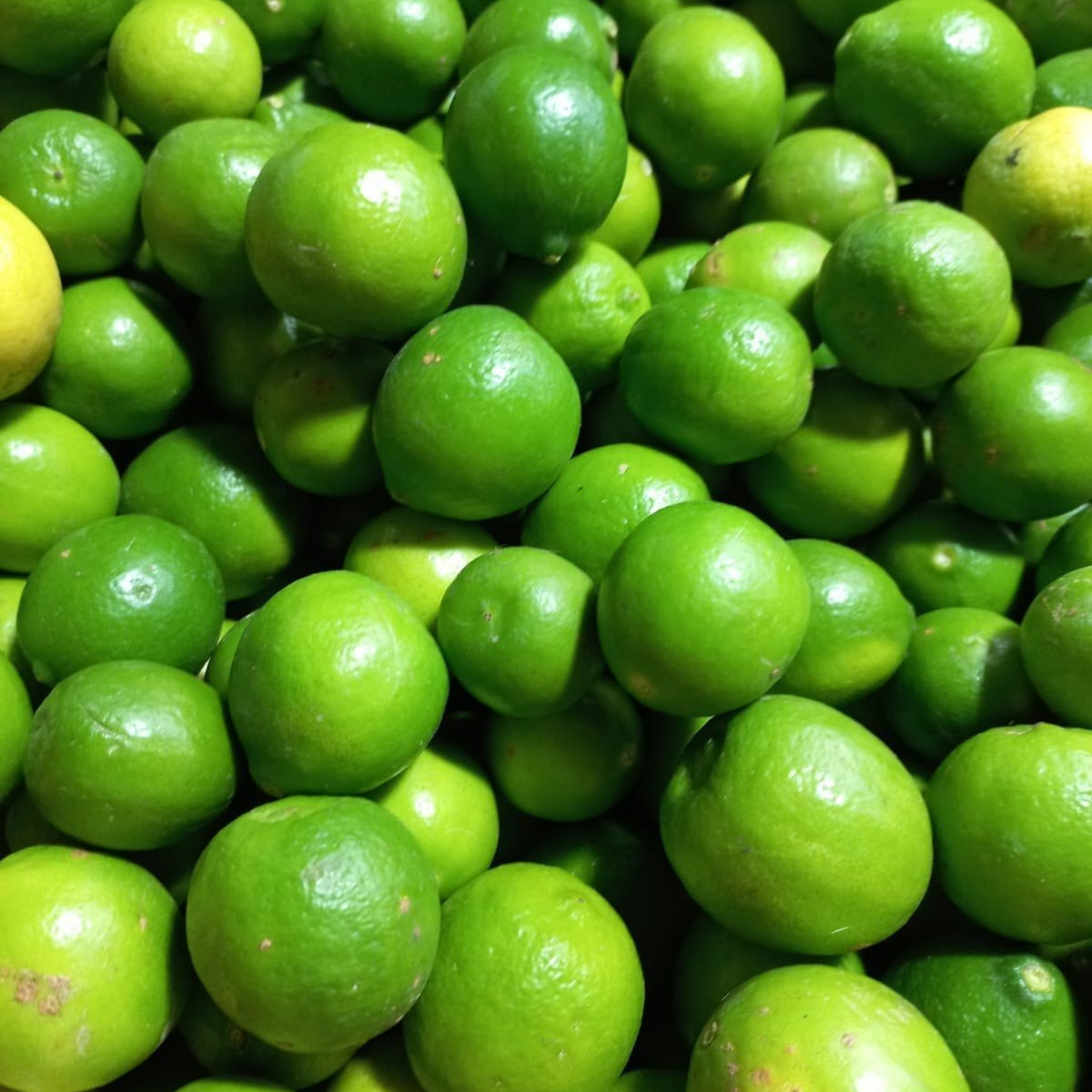 Lemon (Green)/250 Grams