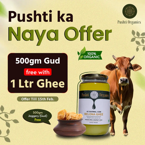 A2 Sahiwal Cow Belona Ghee (500ML)