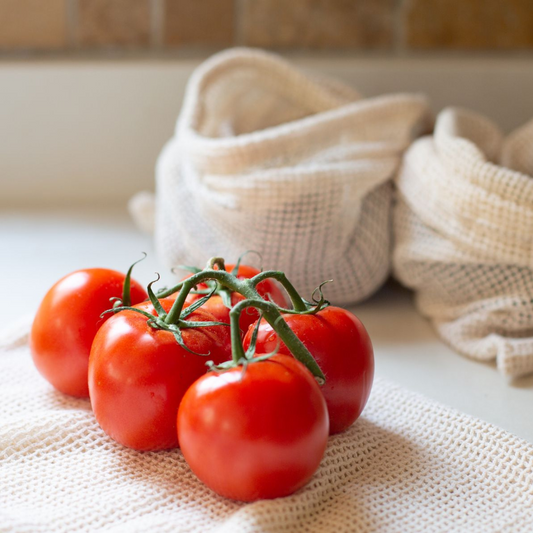Tomato (Hybrid)