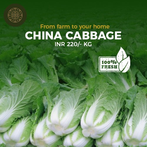 CHINA CABBAGE - PushtiOrganics