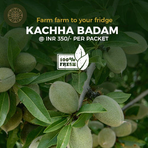 Kachha Badam ( 1pkt  +650gm ) - PushtiOrganics