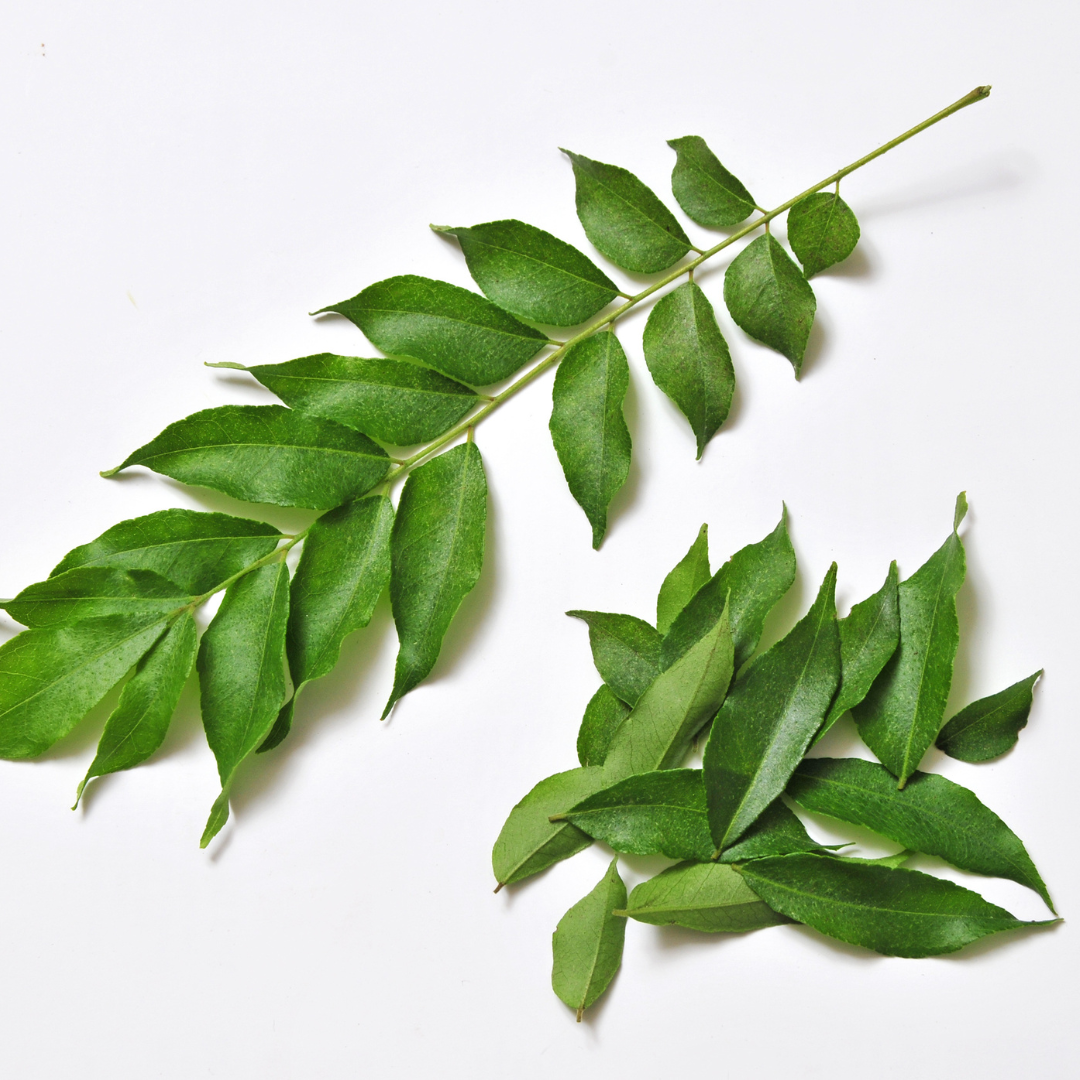 Curry leaves - PushtiOrganics