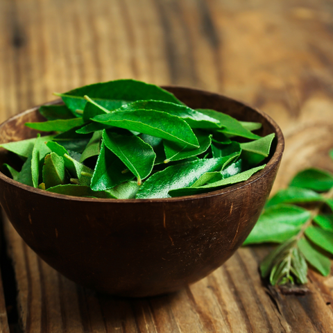 Curry leaves - PushtiOrganics