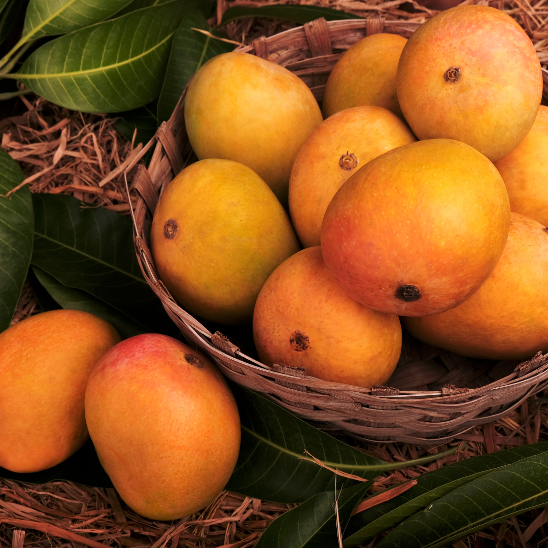Alphanso Mango - PushtiOrganics