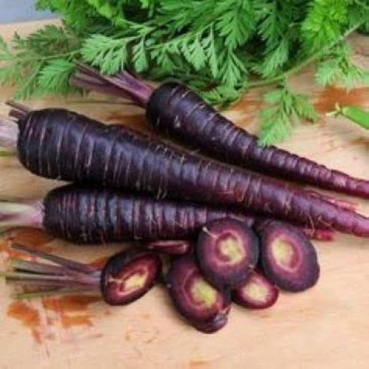 Black Carrot