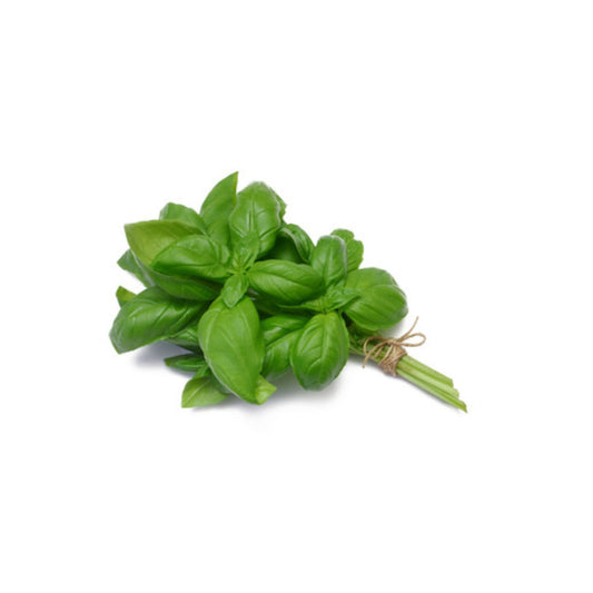 Basil/500 Grams