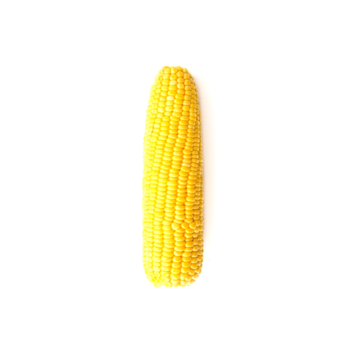Sweet corn with cob/ 1 Pcs