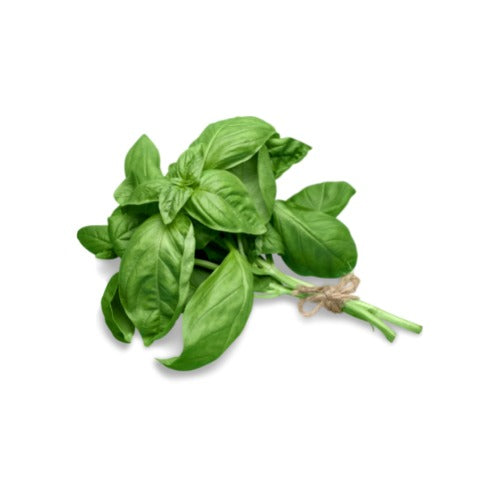 Basil - PushtiOrganics