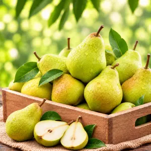 Conference Pears
