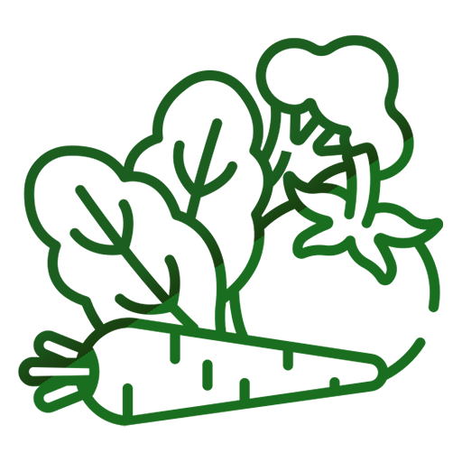 Vegetable