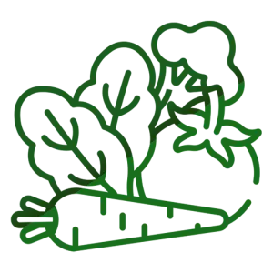 Vegetable