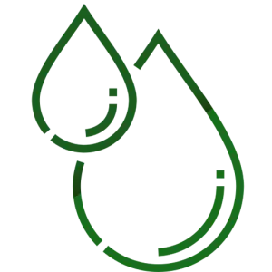 Oil