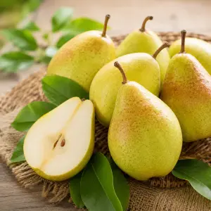 Indian Pear