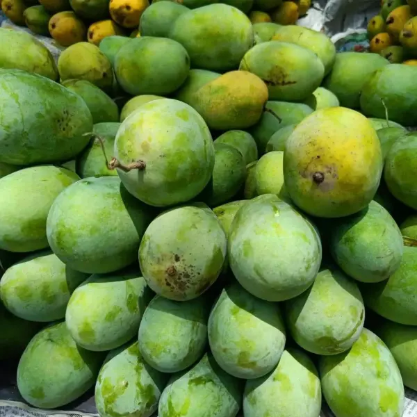 Langra Mango