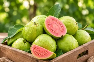 Guava